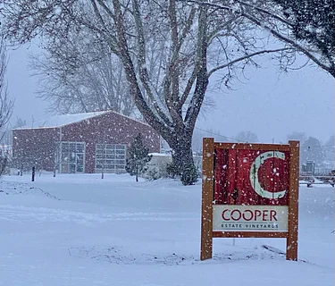 Red Mountain Winter CoopClub Release