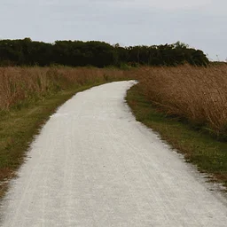Trail Club: November at Hammel Woods