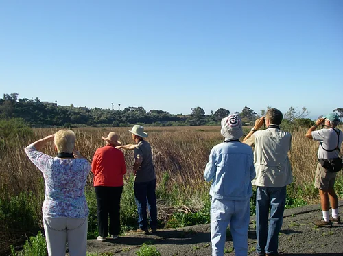 Birding With Barbara