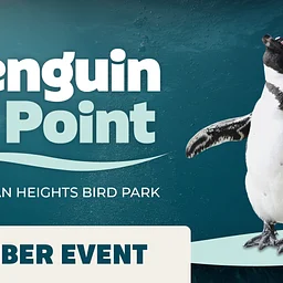 Penguin Preview Day (Member Event)