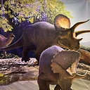 August program: Dinosaur Fossil Hunters, Triebold Paleontology, Inc.