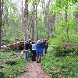 Guided Trail Walk