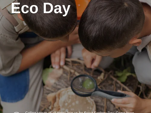 Scout Eco Day
