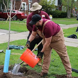 Detroit Community Tree Planting