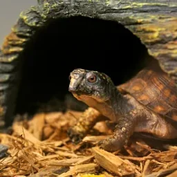 Hocking College Nature Center Visits