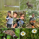 Newbies in Nature