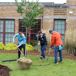 McDuffy Park/Piety Hill Community Tree Planting