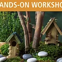 Fairy Gardens