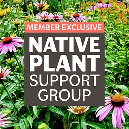 Native Plant Support Group: Medicinal Native Plants
