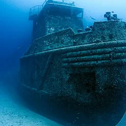 HISTORY ON TAP: BIODIVERSITY OF SHIPWRECKS