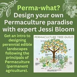 Free Class: Perma-what? Designing Your Own Permaculture Paradise with Jessi Bloom