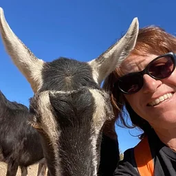 Hike with Goats