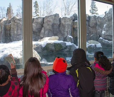 Spring Break Adventure Camp