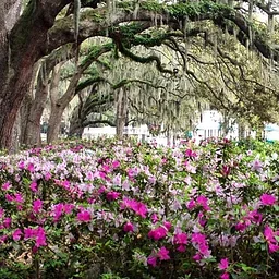 Savannah, Georgia 2027April 7 - 9, 2027