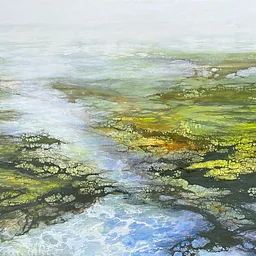 Alicia Tormey