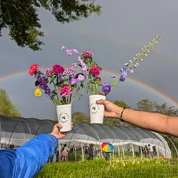 Friday Flower U-Pick