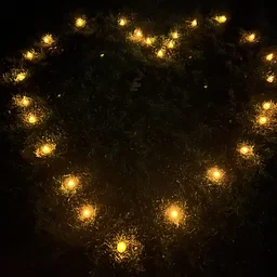 Campfire Friends