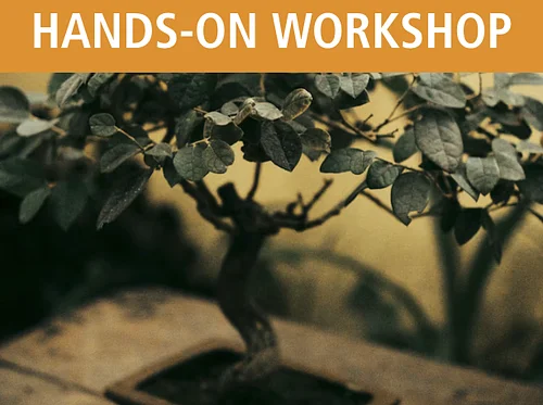 Bonsai for Beginners Part 1