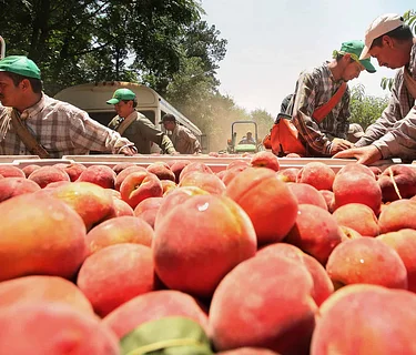 Artist Reception | Labor Daily Exhibition