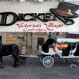 Carriage Rides