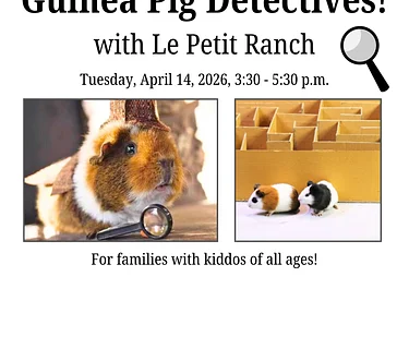 Guinea Pig Detectives! with Le Petit Ranch