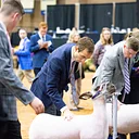 Collegiate Livestock Judging Contest