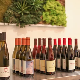 Behind the Bar | Grapes You (Probably) Haven’t Heard Of - Italian Edition!