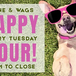 Wine & Wags Yappy Hour