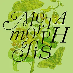 Metamorphosis: A BFA Exhibition