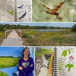 Intro to Nature Journaling