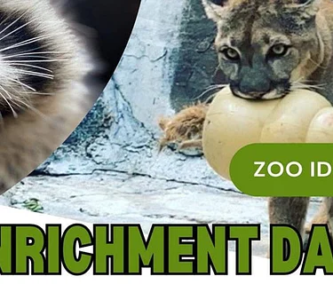 Enrichment Day at the Zoo