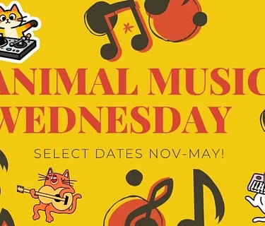 Animal Music Wednesdays!