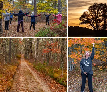 Connecting in Nature through QiGong