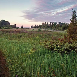 Hiking into History: Discovering the "Ghost Port" of Clay Banks
