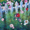 Jeff Fioravanti: A Solo Exhibition