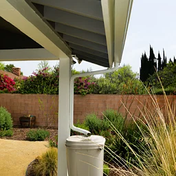 Rain to Roots: Water for Your Garden