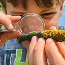 Nature Academy · Earth Keepers