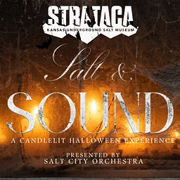 Salt & Sound