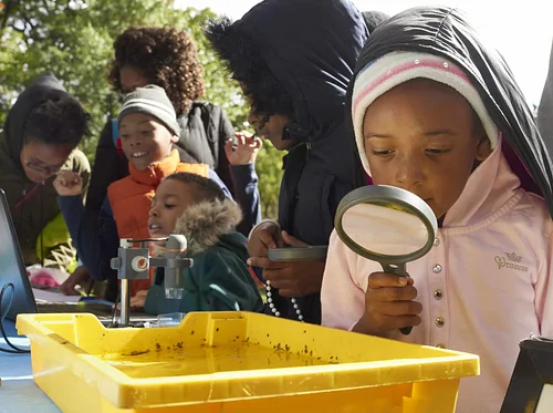 November Weekend Nature Exploration