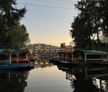 Collectors Circle Trip | Mexico City, Mexico