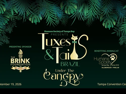 Tuxes & Tails Brazil – Under the Canopy
