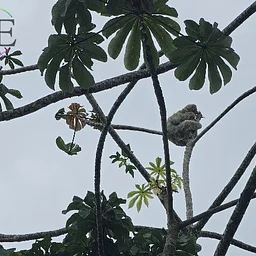 Costa Rica Gay Travel: The Dream Adventure Tour