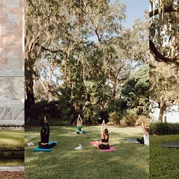 Mindful Movement: Flow, Walk, & Connect