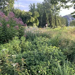 Beauty Walk