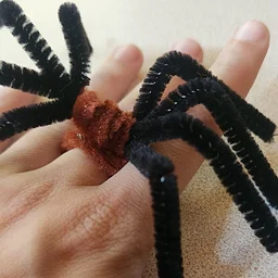 Family Field Day: Silly Spiders