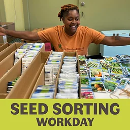 Seed Sorting Workday