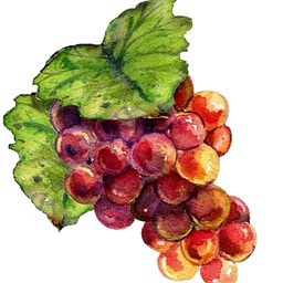 Autumn Vibes - TASTING