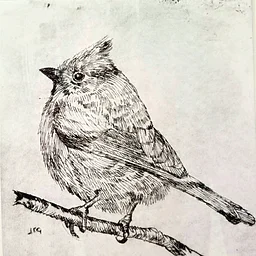 Art Print Workshop “Dry Point Etching” – 3 Part Class – Thursdays 9:30 am to noon