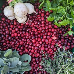 2026 Thanksgiving Harvest Bags - on sale Monday, Oct 5