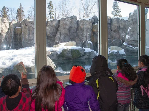 Spring Break Adventure Camp